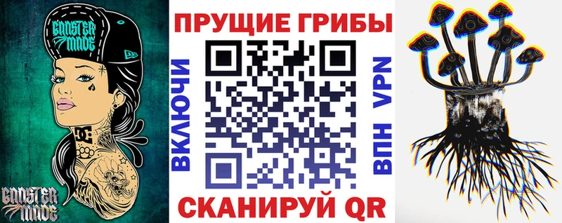 blacksprut ТОР  как найти   Берёзовский  Галлюциногенные грибы ЛСД 
